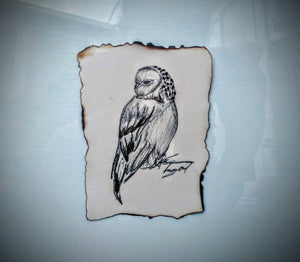 Tawny Owl - Original Artwork