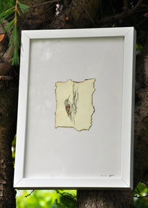 Treecreeper Bird - Original Artwork